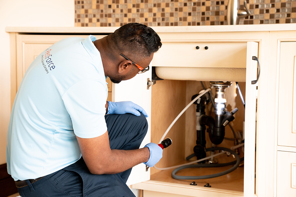 Pest control for residential and commercial properties