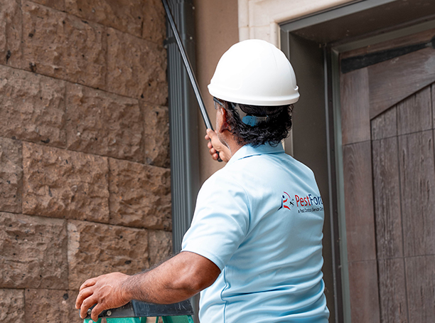 Special event pest treatment services for outdoor venues in Calgary